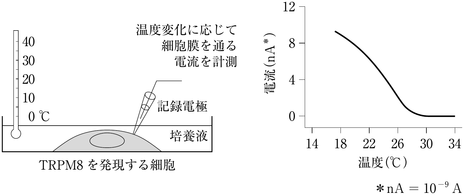 図1・図2