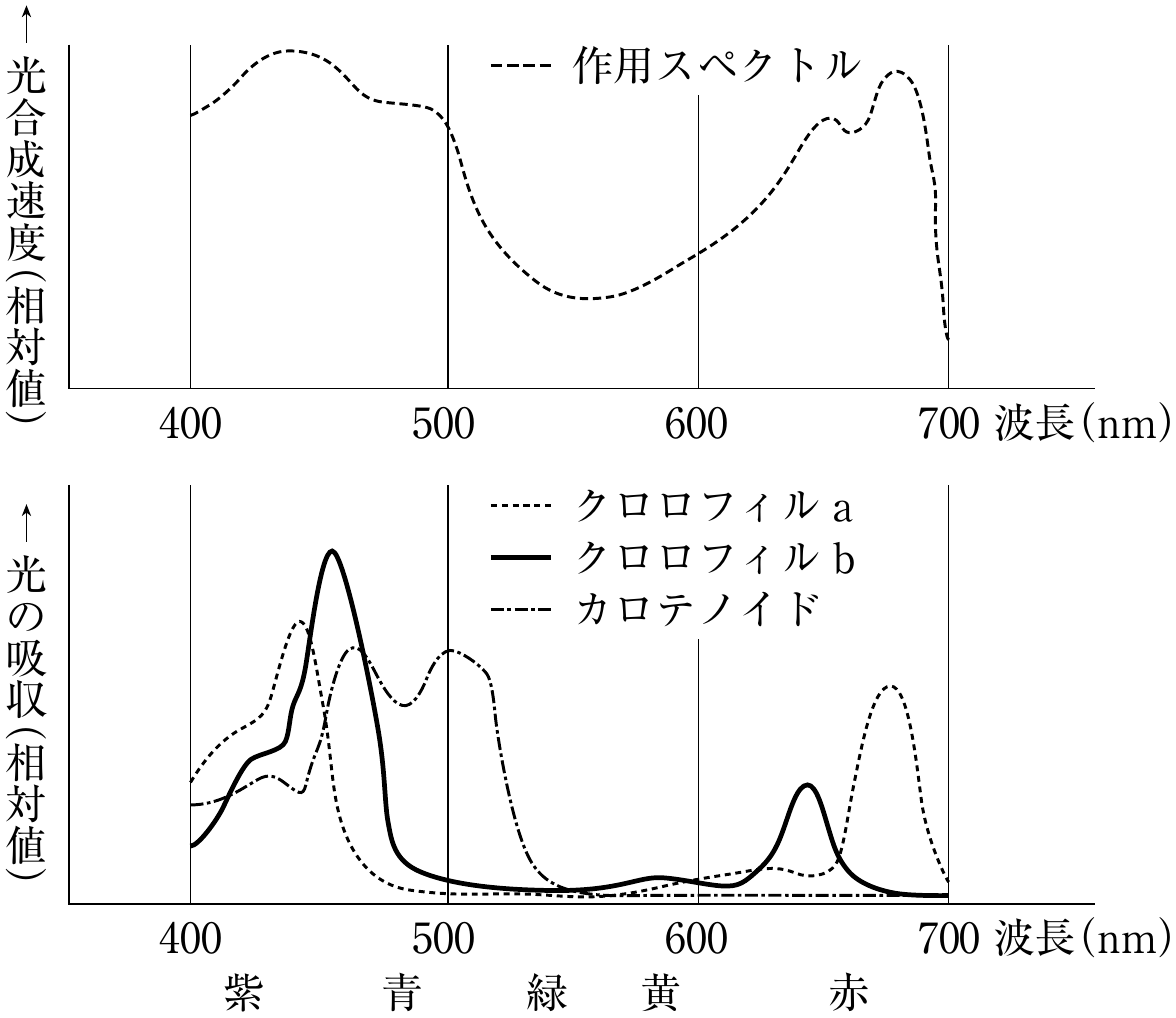 図2
