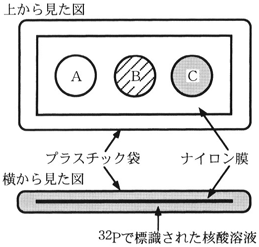 図9　実験2の模式図