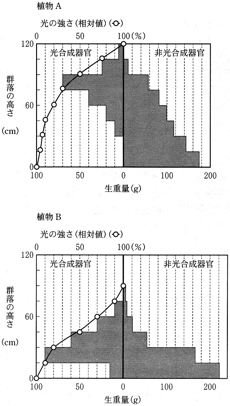 図2　2つの異なる植物 A，植物 B の群落について，40 cm 四方の区画を設け，群落内の高さごとの相対的な光の強さを測定し，層別刈取法を行って得られた結果をもとに作成した生産構造図