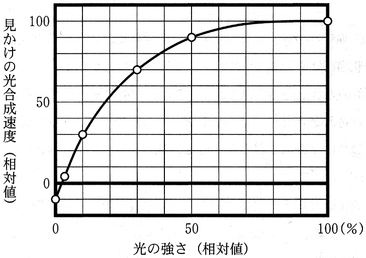 図4　植物Aの光—光合成曲線