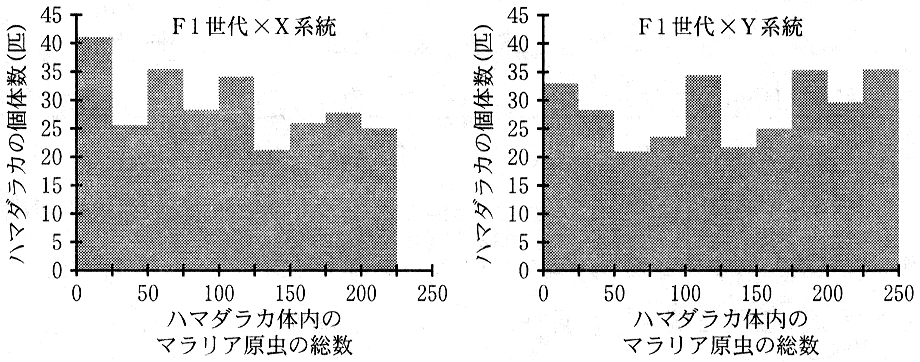 図7　戻し交配世代のハマダラカの体内に存在しているマラリア原虫の総数