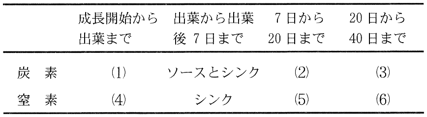 表2—2　図2—1に示した葉の各生育時期における機能