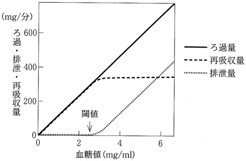 図2—2　血糖値とグルコースのろ過，排泄，再吸収量との関係
