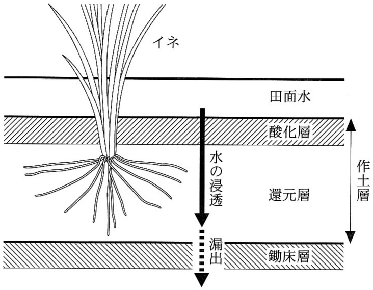 図3—1　水田の構造