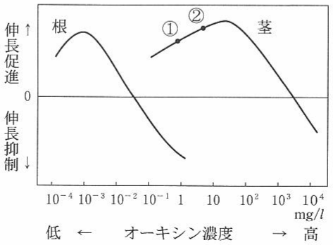 図2—1　オーキシン濃度の茎と根の細胞の伸長におよぼす効果