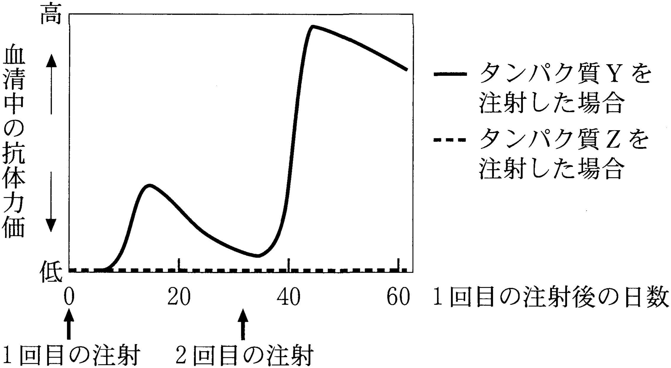 図1—2　タンパク質 Y と Z を注射したマウスの抗体力価の経時的変化