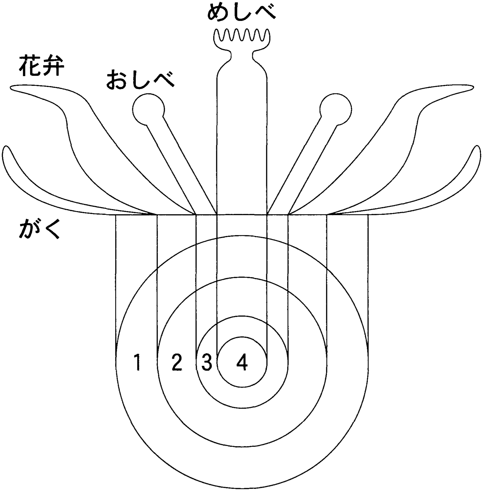 図2—1　花器官が形成される4つの領域