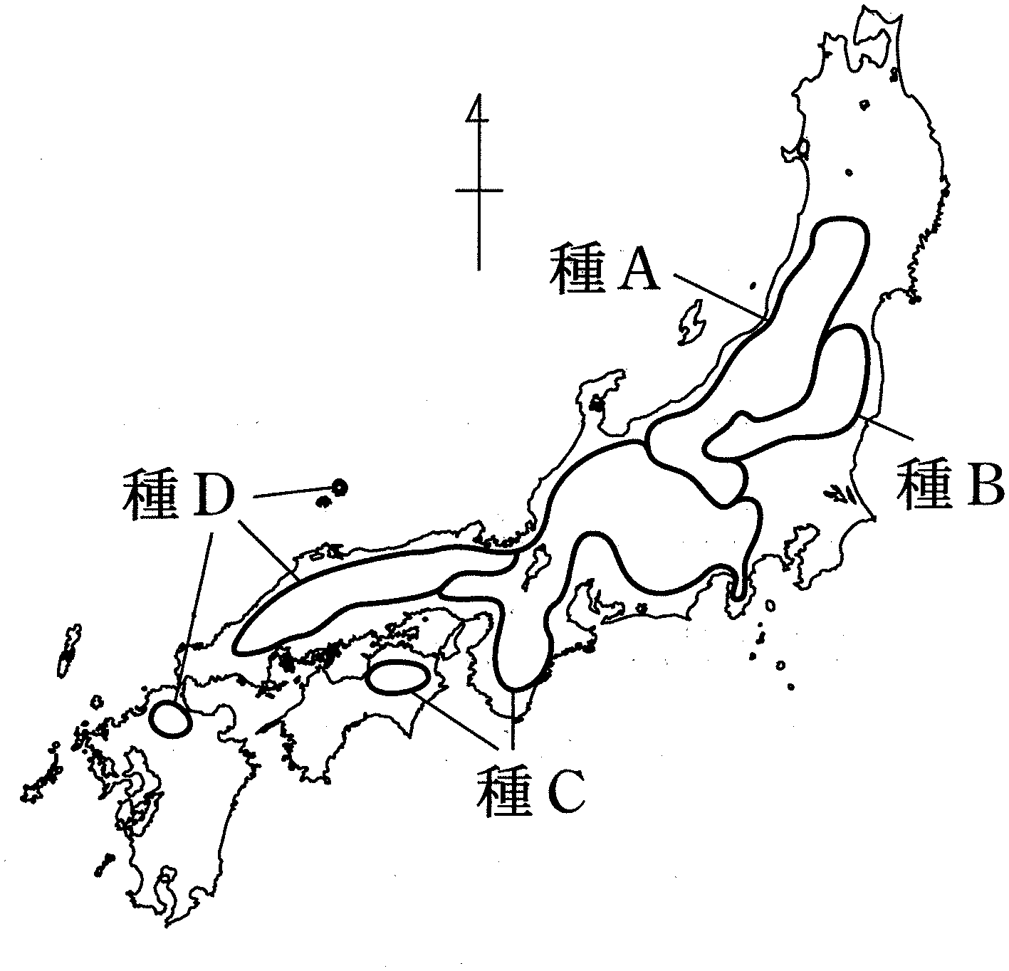 図3—2　種 A〜種 D の水平分布域