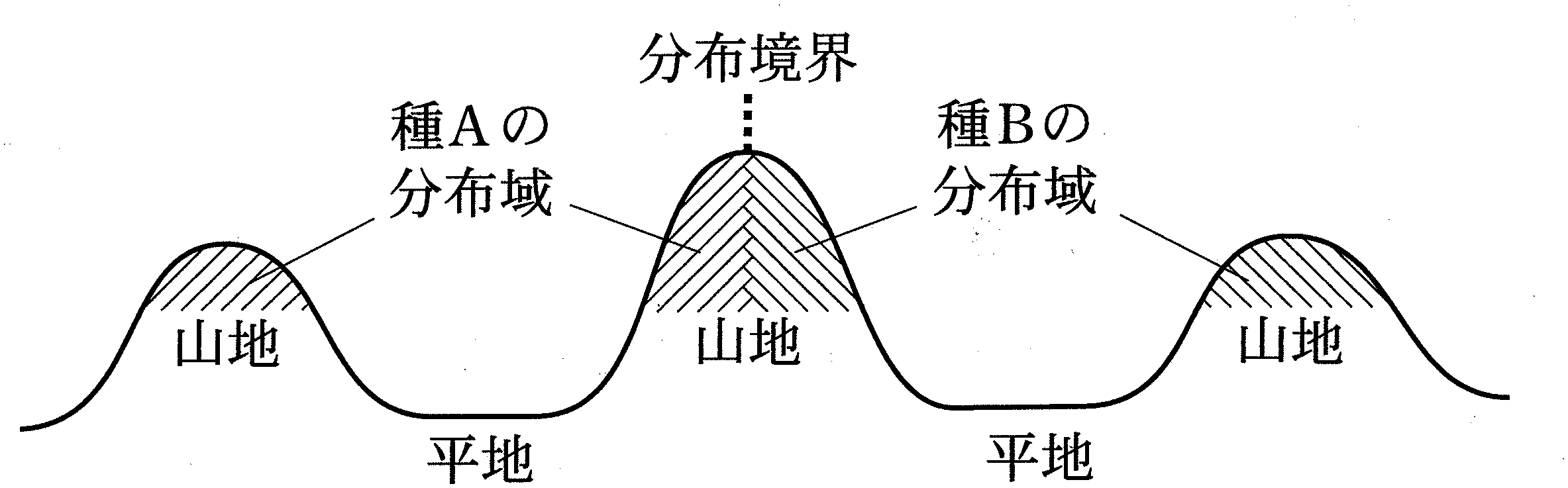 図3—3　種 A と種 B の分布境界付近の模式図。種 A〜種 D の分布境界付近は同様の状態になることが多い。