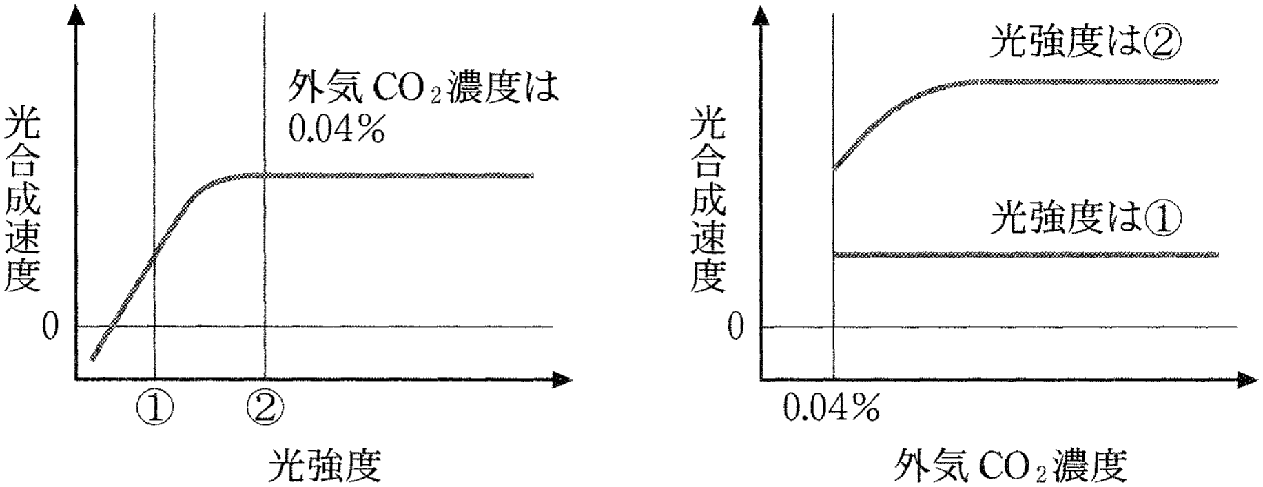 図2—2 野生型における光強度および外気 CO_2 濃度と光合成速度との関係