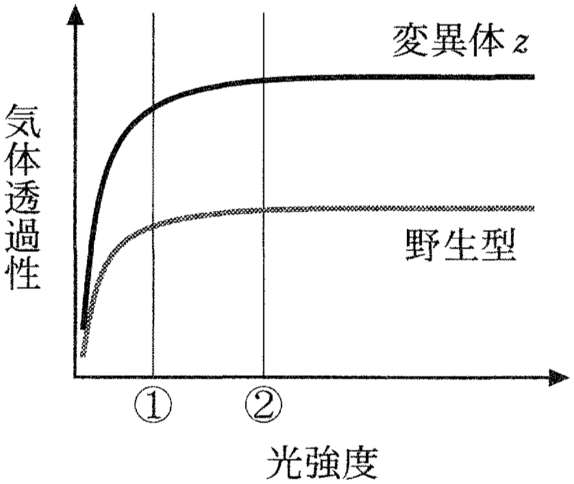 図2—3 外気 CO_2 濃度が 0.04 %のときの光強度と気体透過性の関係