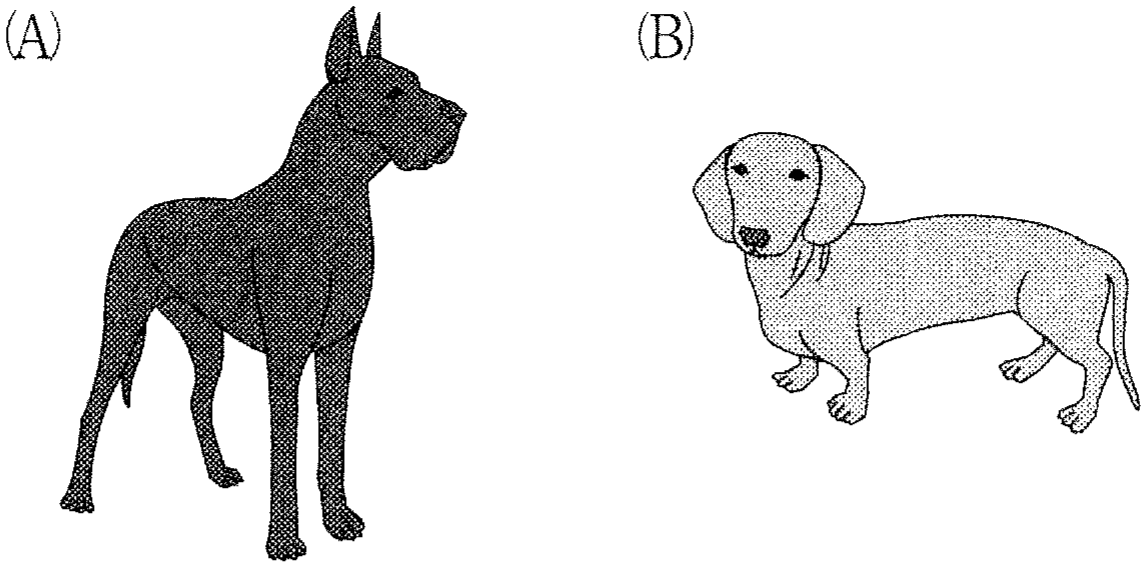 図3—1 (A) 通常の長さの脚をもつイヌ (B) ダックスフント
