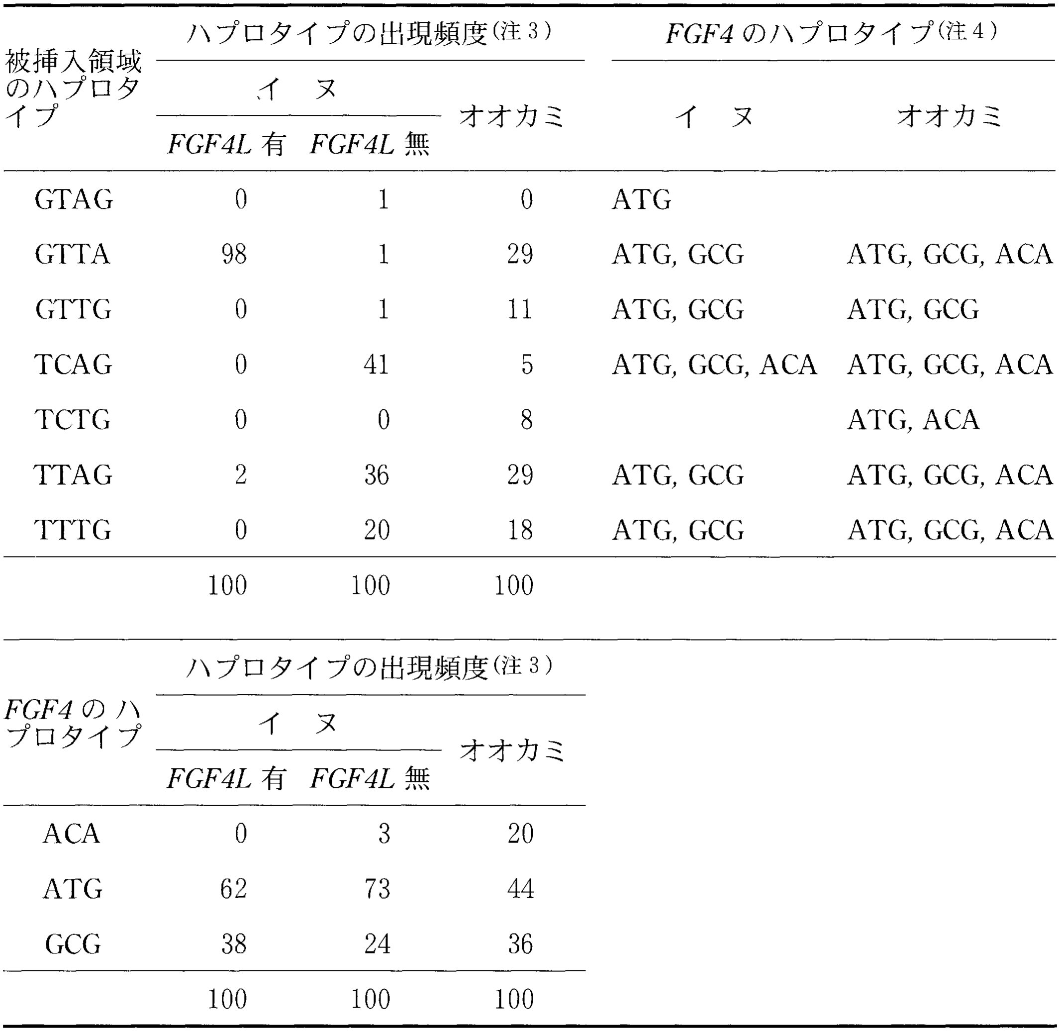 表3—1 イヌとオオカミにおける被挿入領域と \mathitFGF4 のハプロタイプ