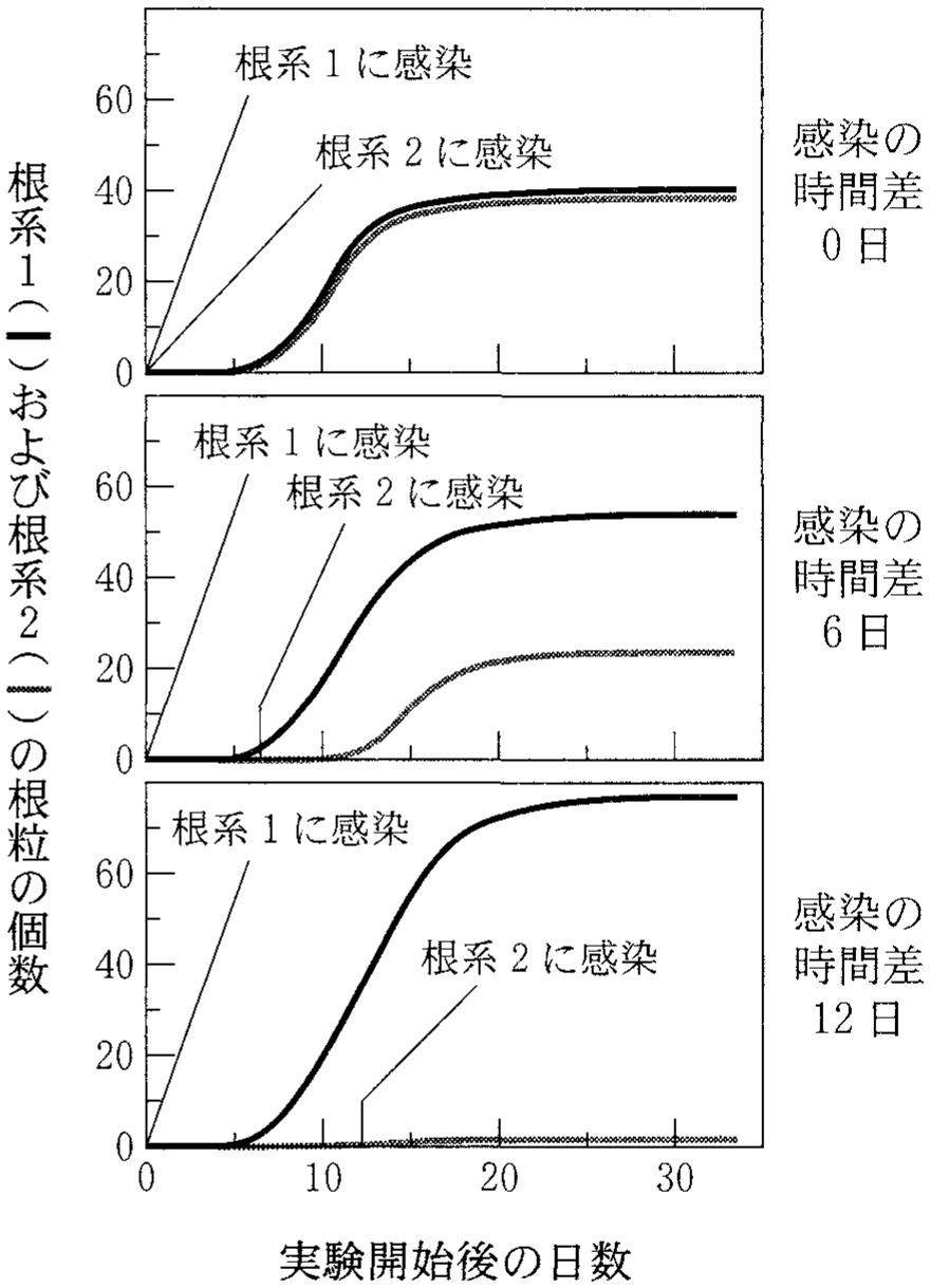 図2—3　ダイズの2つの根系に時間差をつけて根粒菌を感染させたときの根粒数の変化