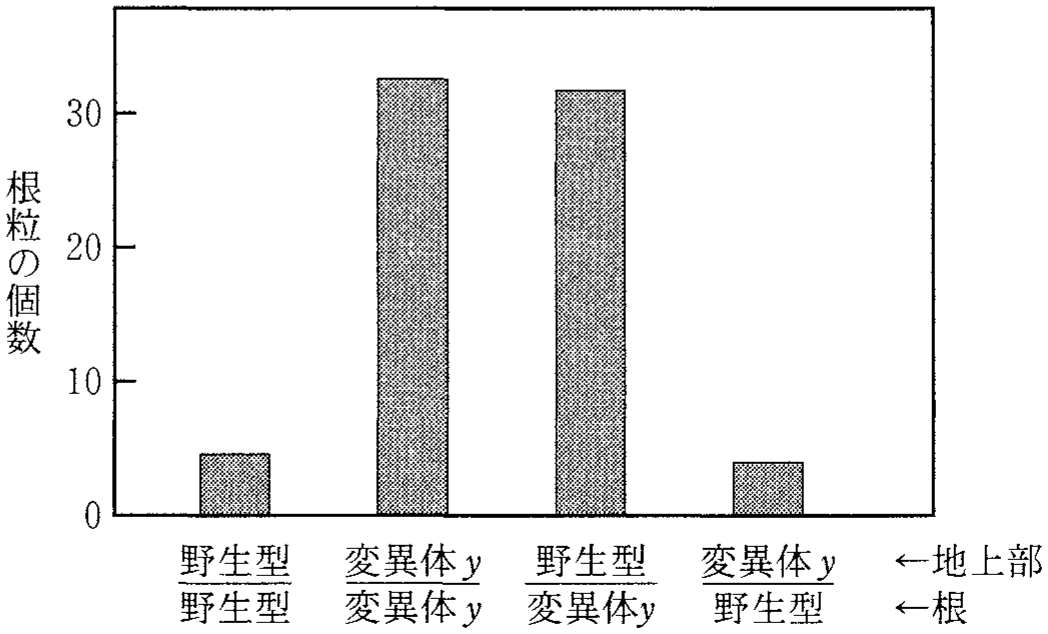 図2—5　地上部と根が遺伝的に異なるミヤコグサにおける根粒形成