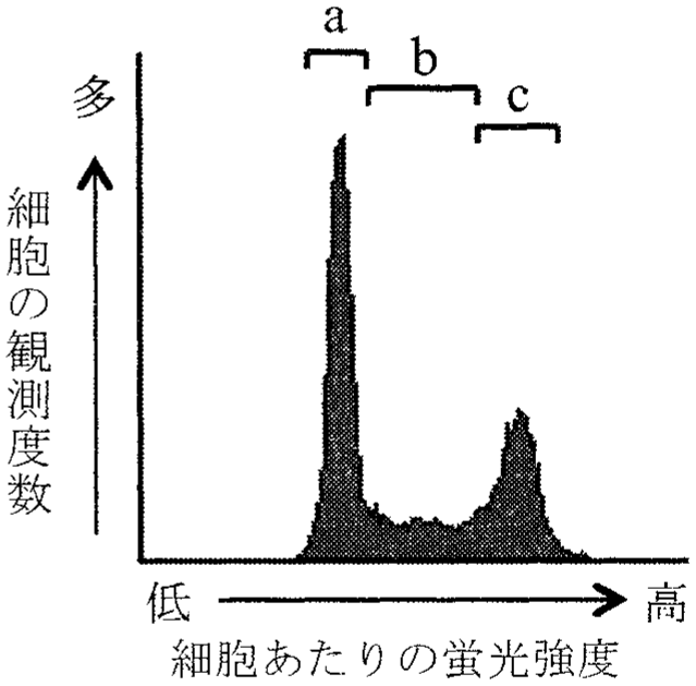 図3—1　細胞あたりの蛍光強度と細胞の観測度数の関係