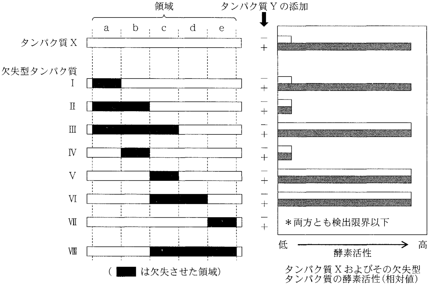図3—3　タンパク質 X と各欠失型タンパク質の構造（左）およびタンパク質 Y 添加による酵素活性の変化（右）（「＋」および「−」は，タンパク質 Y の有無を示す）