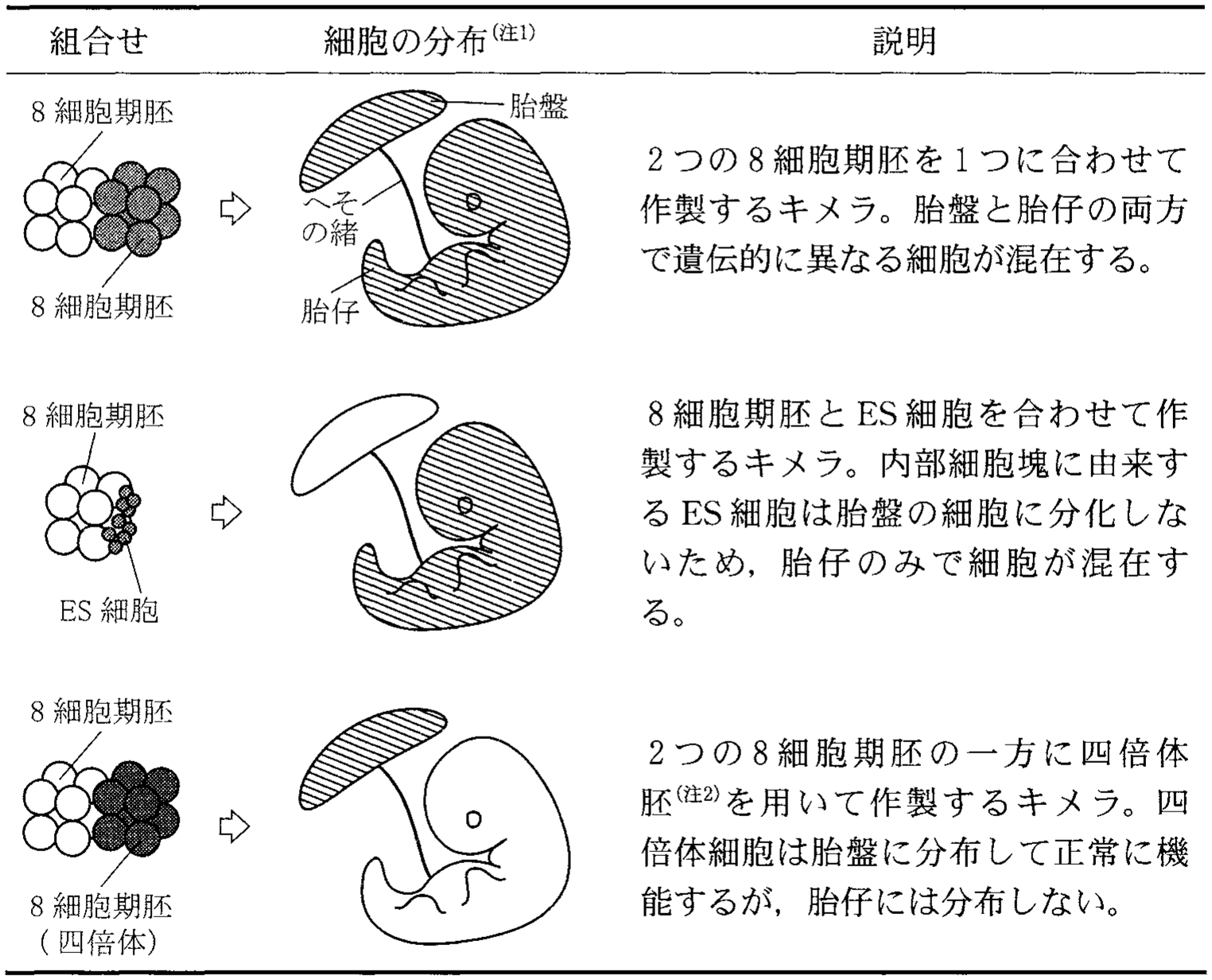 表1—1　異なる細胞の組合せで作製されるキメラ