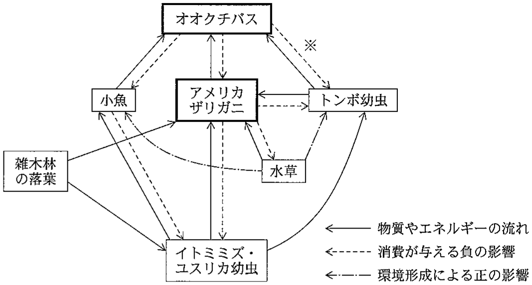 図3—2　ため池の生態系における生物間の相互作用