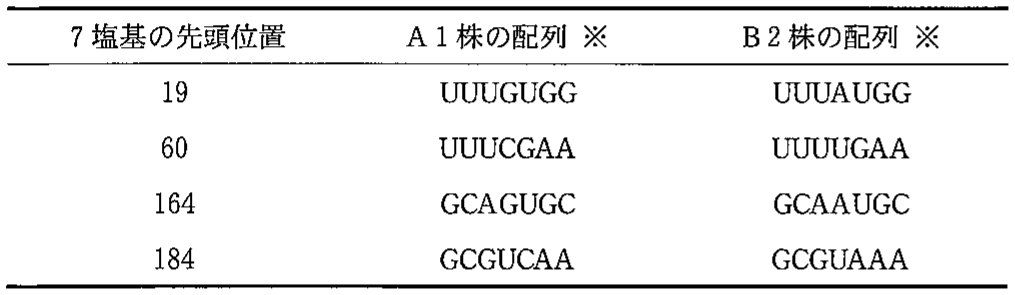 表2—1　A1株とB2株に由来するタンパク質 X の mRNA 塩基配列の比較