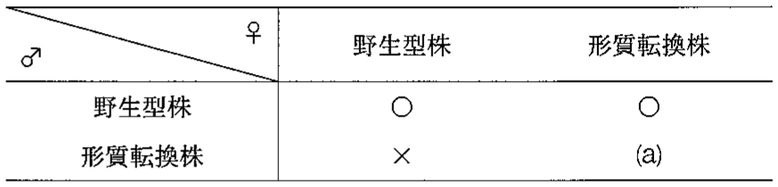 表2—3　実験3の交配結果
