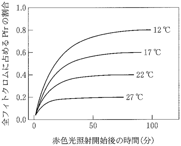 図3—4　各温度における Pfr の割合の変化