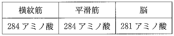 表1—1　各発現部位における \alpha-トロポミオシンタンパク質のポリペプチド鎖の長さ