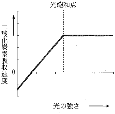 図2—1　光の強さと二酸化炭素吸収速度との関係（光—光合成曲線）