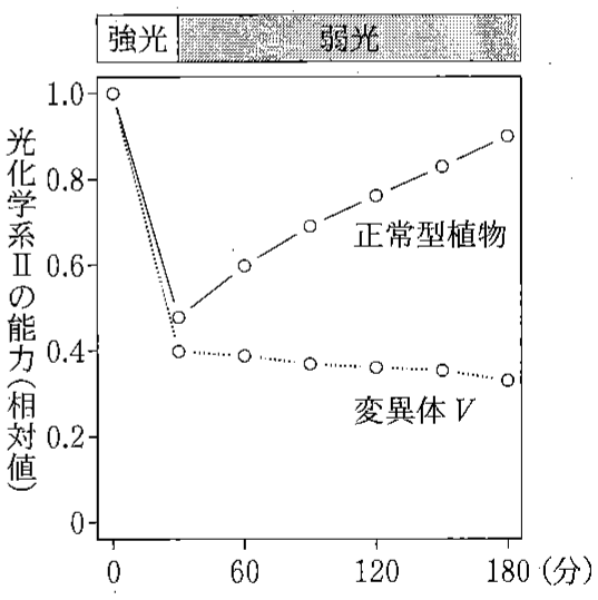 図2—4　強光照射後の正常型植物と変異体 V での光化学系Ⅱの能力の時間変化
