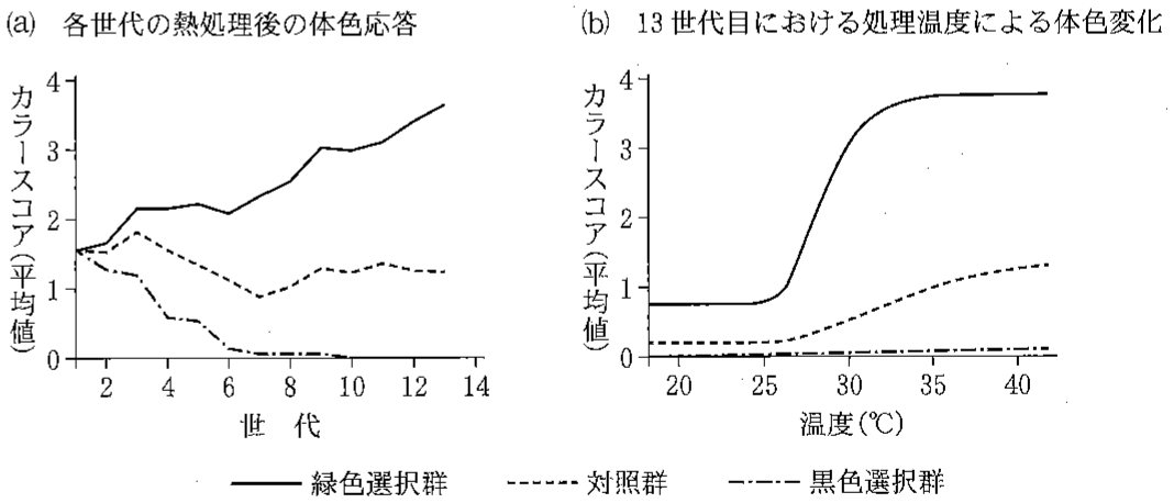 図3—4　タバコスズメガ幼虫の熱処理による体色応答に関する選択実験