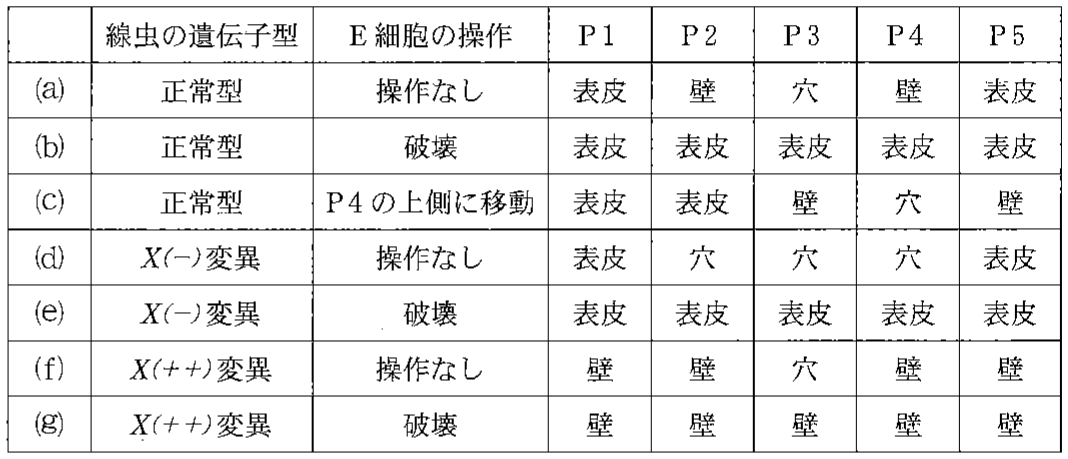 表1—1　X遺伝子の変異およびE細胞の操作と表皮の前駆細胞の分化