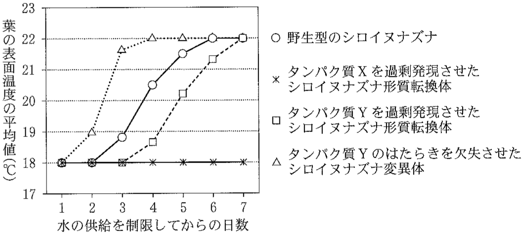 図2—4　各種のシロイヌナズナにおける水の供給を制限した後の葉の表面温度の経時変化