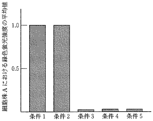 図3—9　ノッチ—デルタタンパク質間の張力が，ノッチシグナル伝達に与える影響を評価する実験の結果