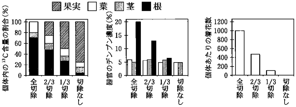 図2—2　果樹 X における果実切除が個体の成長に及ぼす影響