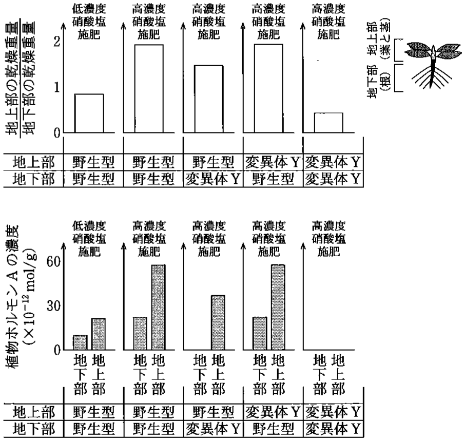 図2—5　実験を行った植物の（上）地上部と地下部における乾燥重量の比と（下）植物ホルモン A の濃度