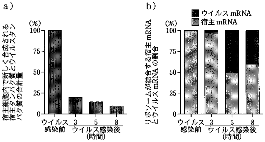 図3—2　宿主細胞内で合成されるタンパク質量とリボソームが結合する mRNA 量