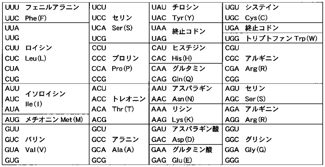表3—4　コドン暗号表