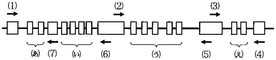図1—10　遺伝子 D 領域のゲノム構造