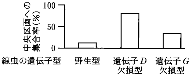 図1—4　遺伝子 D や遺伝子 G の欠損が忌避行動に与える影響