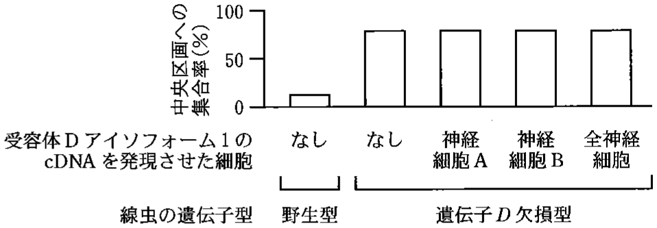 図1—6　受容体Dアイソフォーム1が忌避行動に与える影響