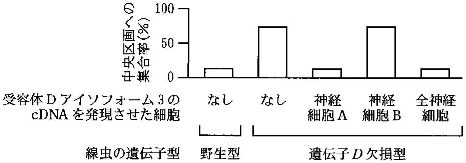 図1—7　受容体Dアイソフォーム3が忌避行動に与える影響