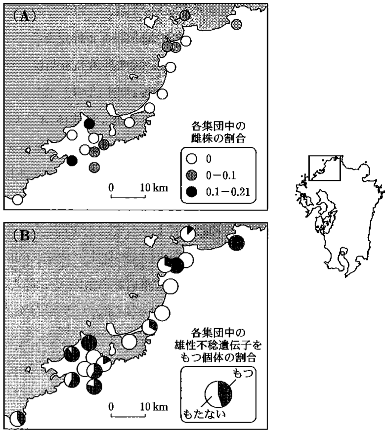 図2—2　九州北部沿岸における各ハマダイコン集団の雌株の割合（A）と雄性不稔遺伝子をもつ個体の割合（B）