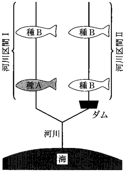 図3—1　ある河川における優占種の分布（模式図）
