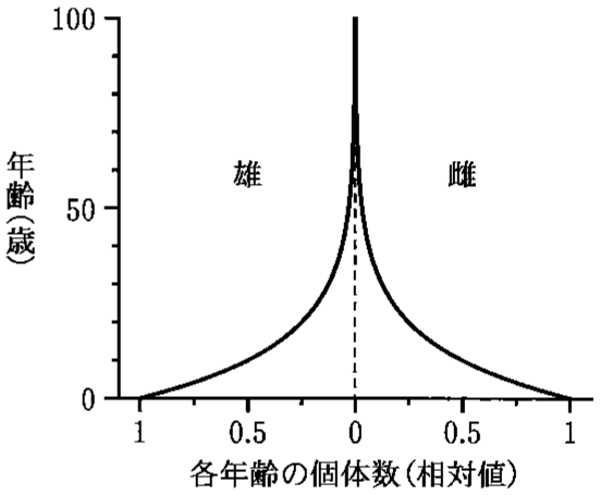 図3—4　河川区間Ⅰにおける二枚貝（種D）の年齢ピラミッド