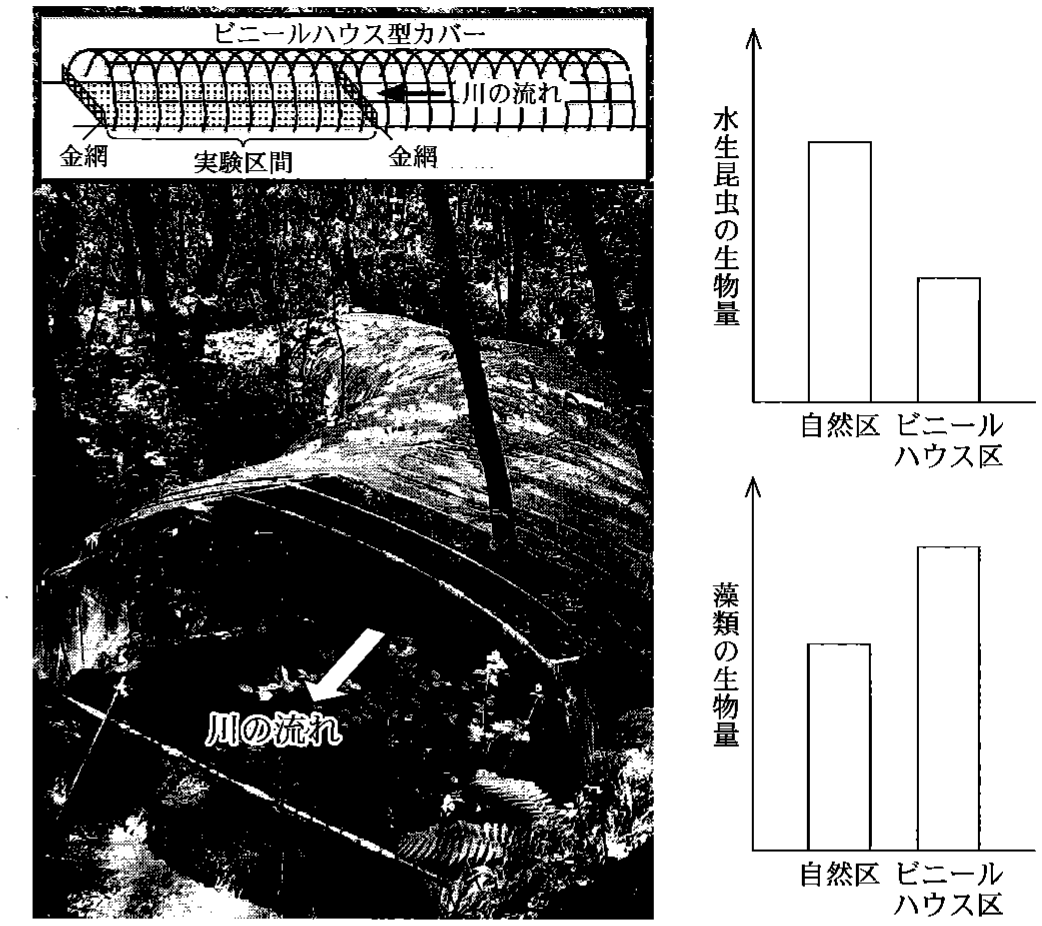 図3—5　ビニールハウス区の図と写真（左），自然区とビニールハウス区における水生昆虫の生物量（右上），および河川内の藻類の生物量（右下）