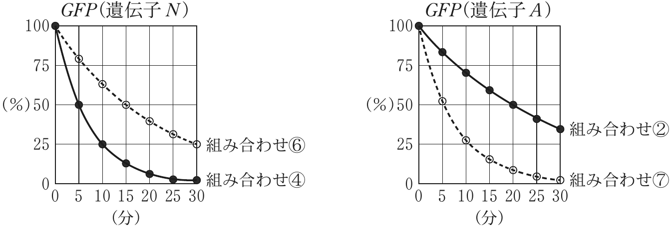 図1—1　（実験4）\mathitGFP の mRNA 量の経時的変化