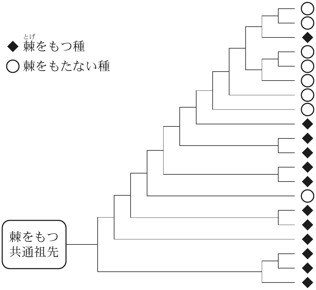 図2—1　ナス属に属する種の系統関係と棘の有無