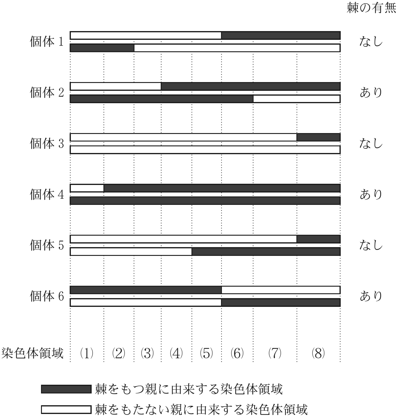 図2—2　F_2 個体における棘の有無と1番染色体の各領域の由来