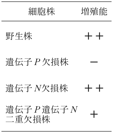 表1—6　（実験7）各細胞株の増殖能